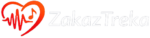20251224 0030 zakaztreka logo design simple compose 01kd6hwctfe67afvng8d3sq9f6 05